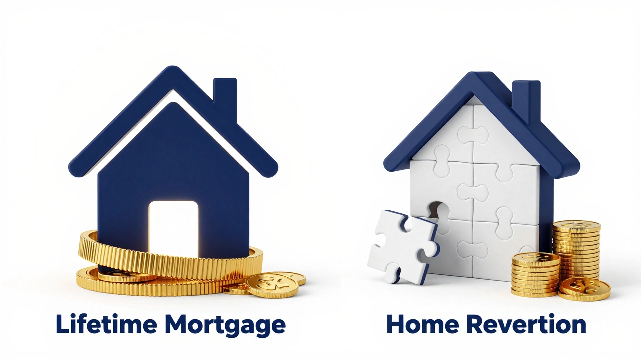 Conceptual illustration comparing a lifetime mortgage with home reversion equity release.